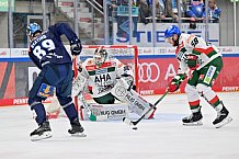 Eishockey, Herren, DEL, Saison 2024-2025, Spieltag 15, ERC Ingolstadt - Augsburger Panther, 03.11.2024