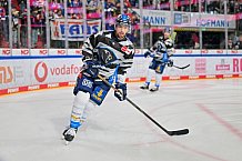 Eishockey, Herren, DEL, Saison 2024-2025, Playoffs Viertelfinale, Spiel 6, Nürnberg Ice Tigers - ERC Ingolstadt, 28.03.2025