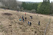 Eishockey, Herren, DEL, Saison 2023-2024, ERC Ingolstadt - Baumpflanzaktion, 03.03.2024