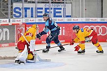 Eishockey, Herren, DEL, Saison 2022-2023, Spieltag 42, ERC Ingolstadt - Düsseldorfer EG, 13.01.2023