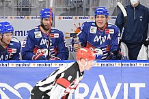 Eishockey, Herren, DEL, Saison 2020-2021, Adler Mannheim - ERC Ingolstadt, 15.02.2021