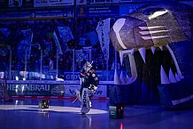 Eishockey, Herren, DEL, Saison 2024-2025, Spieltag 49, ERC Ingolstadt - Straubing Tigers, 28.02.2025