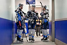 Eishockey, Herren, DEL, Saison 2024-2025, Playoffs Viertelfinale, Spiel 1, Nürnberg Ice Tigers - ERC Ingolstadt, 18.03.2025