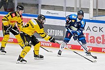 Eishockey, Herren, U20 DNL, Saison 2025-2026, ERC Ingolstadt - Krefeld Pinguine, 10.01.2026