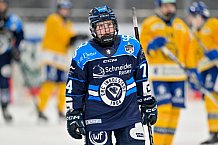 Eishockey, Frauen, DFEL, Saison 2025-2026, Testspiel, ERC Ingolstadt - HC Davos, 14.02.2026