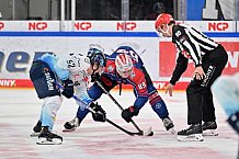Eishockey, Herren, DEL, Saison 2022-2023, Spieltag 15, Nürnberg Ice Tigers - ERC Ingolstadt, 26.10.2022