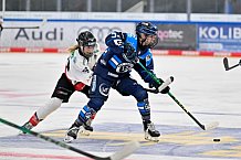 Eishockey, Frauen, DFEL, Saison 2025-2026, ERC Ingolstadt - HK Budapest, 15.11.2025