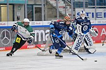 Eishockey, Frauen, European Womens Hockey League, Saison 2024-2025, ERC Ingolstadt - Lakers Kärnten, 13.09.2024