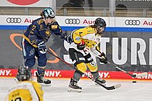 Eishockey, Frauen, DFEL, Saison 2022-2023, ERC Ingolstadt - Mad Dogs Mannheim, 20.11.2022