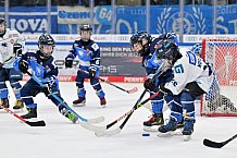 Eishockey, Herren, DEL, Saison 2024-2025, Spieltag 26, ERC Ingolstadt - Iserlohn Roosters, 15.12.2024