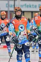 Eishockey, Frauen, DFEL, Saison 2024-2025, ERC Ingolstadt - EC Bergkamener Bären, 05.01.2025