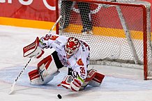 ERC Ingolstadt vs Fischtown Pinguins, Eishockey, DEL, Deutsche Eishockey Liga, Spieltag 32, 28.12.2016