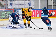 Hockey, Mens, CHL, Season 2025-2026, Regular Season, Game Day 2, ERC Ingolstadt - Kalpa Kuopio, 30.08.2025