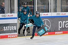 Eishockey, Herren, DEL, Saison 2023-2024, Playoffs Viertelfinale - Spiel 4, ERC Ingolstadt - Fischtown Pinguins , 24.03.2024