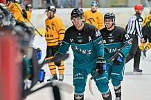 Eishockey, Herren, DEL, Saison 2026-2027, ERC Ingolstadt - HC Verva Litvinov - Steinbach Black Wings Linz, 22.08.2026