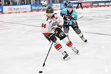 Eishockey, Herren, DEL, Saison 2026-2027, Spieltag 6, ERC Ingolstadt - Kölner Haie, 04.10.2026