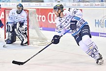 ERC Ingolstadt vs Adler Mannheim, Eishockey, DEL, Deutsche Eishockey Liga, Spieltag 28, 08.12.2017