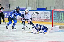 Eishockey, Frauen, DFEL, Saison 2026-2027, ERC Ingolstadt - Eisbären Juniors Berlin, 20.09.2026