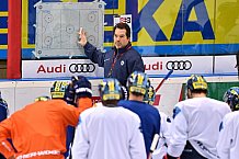 ERC Ingolstadt, Eishockey, DEL, Deutsche Eishockey Liga, 10.11.2017