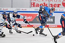 Eishockey, Herren, DEL, Saison 2023-2024, Spieltag 39, ERC Ingolstadt - Iserlohn Roosters, 19.01.2024