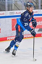 Eishockey, Herren, DEL, Saison 2024-2025, Spieltag 35, ERC Ingolstadt - Augsburger Panther, 10.01.2025