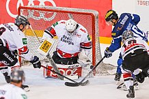 ERC Ingolstadt - Koelner Haie, Eishockey, DEL, Deutsche Eishockey Liga, Spieltag 22, 25.11.2016, Foto: st-foto.de / Oliver STRISCH