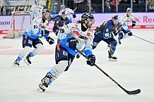Eishockey, Herren, DEL, Saison 2024-2025, Spieltag 24, EHC Red Bull München - ERC Ingolstadt, 08.12.2024