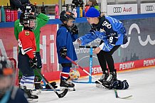 Eishockey, Herren, DEL, Saison 2023-2024, ERC Ingolstadt - Kids on Ice Day, 30.09.2023