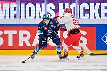 Hockey, Mens, CHL, Season 2025-2026, Regular Season, Game Day 6, ERC Ingolstadt - Odense Bulldogs, 15.10.2025