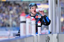 Eishockey, Herren, DEL, Saison 2025-2026, Playoffs, Viertelfinale, Spiel 4, ERC Ingolstadt - EHC Red Bull München, 31.03.2026