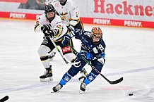 Eishockey, Frauen, DFEL, Vorbereitung, Saison 202-2025, ERC Ingolstadt - St. Pölten, 07.09.2024