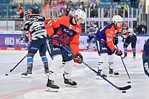 Eishockey, Herren, DEL, Saison 2023-2024, Spieltag 38, ERC Ingolstadt - Adler Mannheim, 14.01.2024