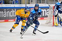 Eishockey, Frauen, DFEL, Saison 2025-2026, Testspiel, ERC Ingolstadt - HC Davos, 14.02.2026