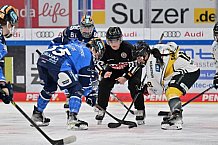 Eishockey, Frauen, DFEL, Saison 2023-2024, ERC Ingolstadt - Mad Dogs Mannheim, 18.02.2024