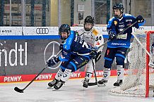 Eishockey, Herren, U20 DNL, Saison 2025-2026, ERC Ingolstadt - ESC Dresden, 14.02.2026