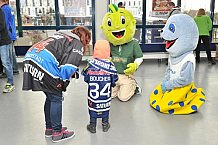 ERC Ingolstadt vs Iserlohn Roosters, Eishockey, DEL, Deutsche Eishockey Liga, Spieltag 27, 11.12.2016