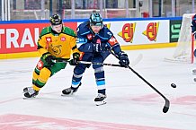 Hockey, Mens, CHL, Season 2025-2026, Regular Season, Game Day 1, ERC Ingolstadt - Ilves Tampere, 28.08.2025