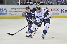 Straubing Tigers vs ERC Ingolstadt, Eishockey, DEL, Deutsche Eishockey Liga, Spieltag 28, 18.12.2016