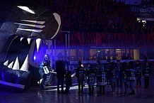 ERC Ingolstadt vs Düsseldorfer EG, DEL, Deutsche Eishockey Liga, Spieltag 37, 12.01.2020