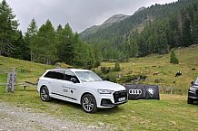 Eishockey, Herren, DEL, Saison 2023-2024, Vinschgau Cup, ERC Ingolstadt – Audi Almerlebnis, 26.08.2023