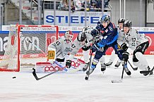 Eishockey, Herren, DEL, Saison 2024-2025, Spieltag 36, ERC Ingolstadt - Kölner Haie, 12.01.2025