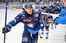Eishockey, Herren, DEL, Saison 2024-2025, Spieltag 36, ERC Ingolstadt - Kölner Haie, 12.01.2025