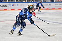 Eishockey, Frauen, DFEL, Saison 2023-2024, ERC Ingolstadt - ESC Planegg-Würmtal, 26.11.2023