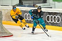 Eishockey, Herren, DEL, Saison 2026-2027, ERC Ingolstadt - HC Verva Litvinov - Steinbach Black Wings Linz, 22.08.2026