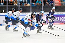 Eishockey, Herren, DEL, Saison 2024-2025, Vorbereitung, ERC Ingolstadt - Dresdner Eislöwen, 18.08.2024