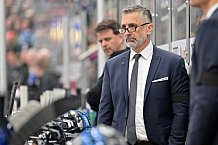 Eishockey, Herren, DEL, Saison 2024-2025, Spieltag 42, ERC Ingolstadt - Kölner Haie, 31.01.2025