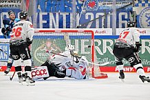 Eishockey, Herren, DEL, Saison 2022-2023, Spieltag 52, ERC Ingolstadt - Kölner Haie, 14.02.2023
