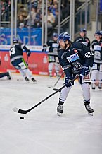 Eishockey, Herren, DEL, Saison 2024-2025, Spieltag 49, ERC Ingolstadt - Straubing Tigers, 28.02.2025