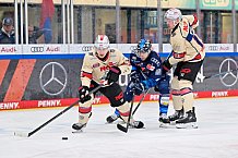 Eishockey, Herren, DEL, Saison 2024-2025, Playoffs Viertelfinale, Spiel 1, ERC Ingolstadt - Nürnberg Ice Tigers, 16.03.2025