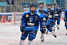 Eishockey, Herren, U20 DNL, Saison 2025-2026, ERC Ingolstadt - Krefeld Pinguine, 10.01.2026